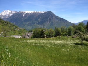 salvan terrain chalet
